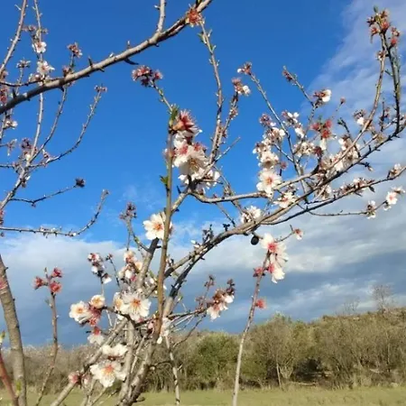 Hotel Diffuso Il Mandorlo 3*