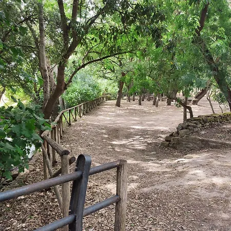 Diffuso Il Mandorlo מלון 3*