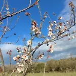 Hotel Diffuso Il Mandorlo 3*