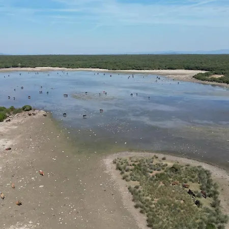 Hotel Diffuso Il Mandorlo Baressa
