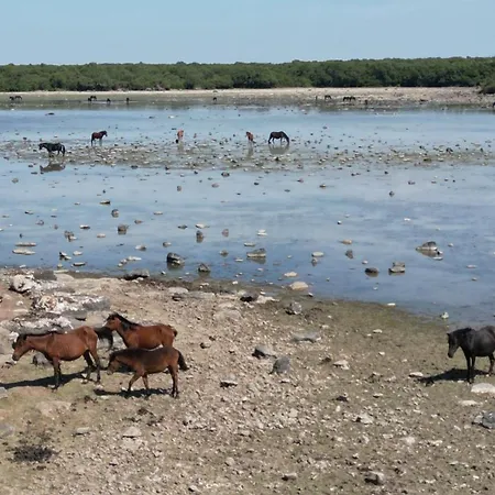 Diffuso Il Mandorlo Hotel